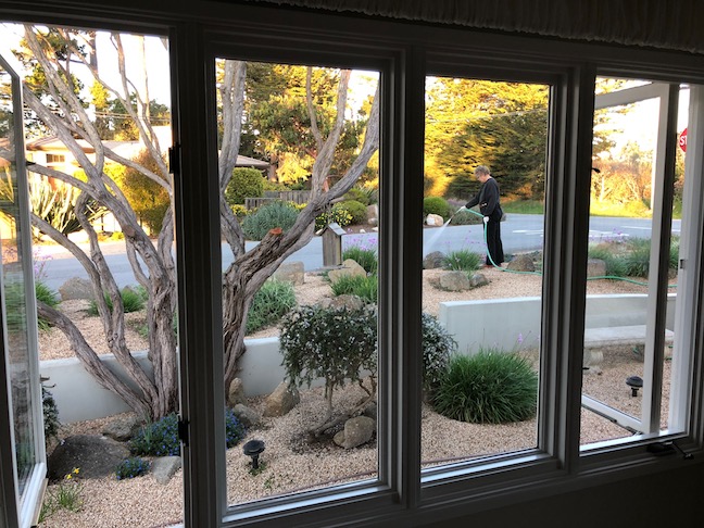 Clean Windows, Luann watering