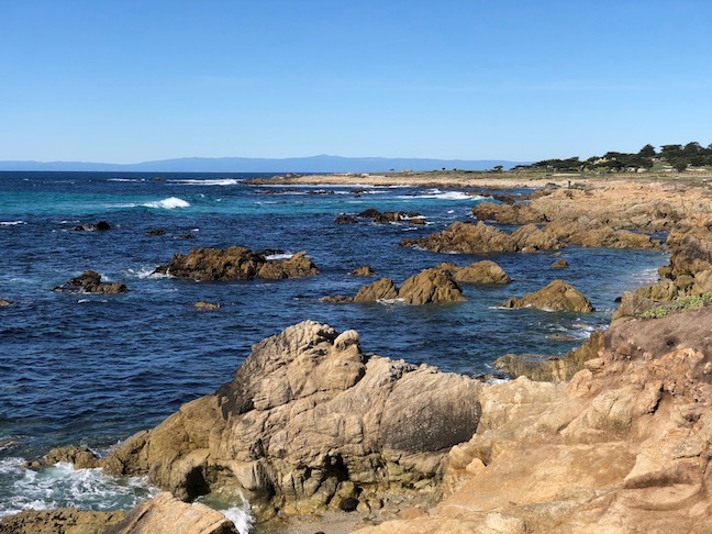 Looking North from Bird Rock