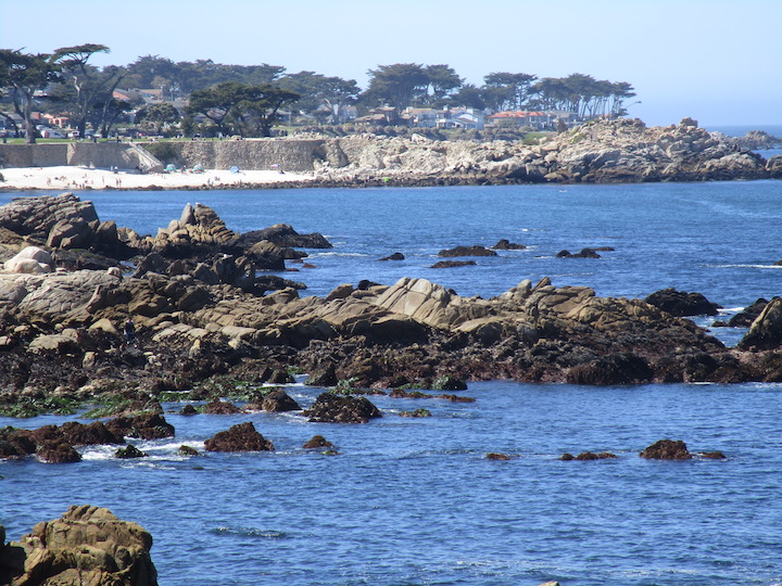 View to Lovers Point, Pacific Grove