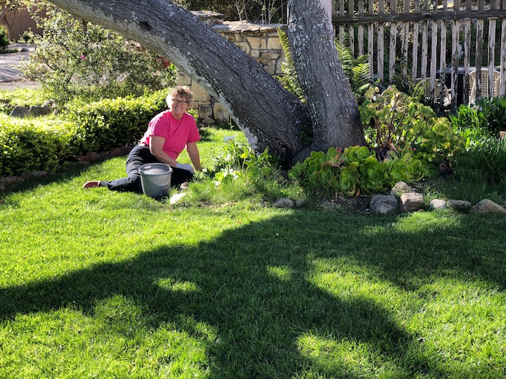 Luann clearing grass and weeds in the front yard.