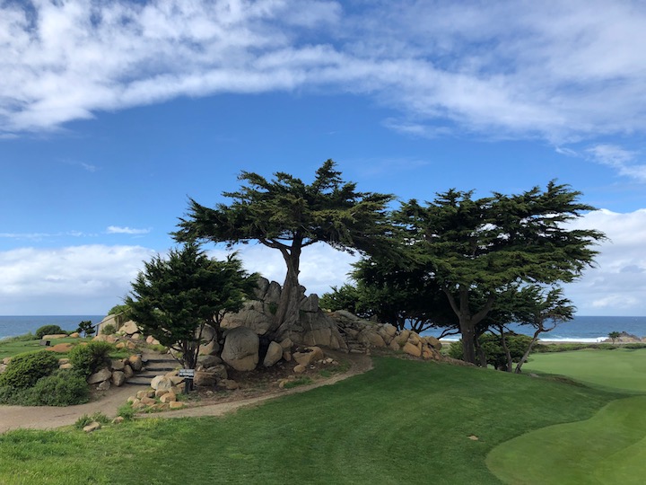 Photo Description - 10 x 7.5 inches  750x540 pixels 