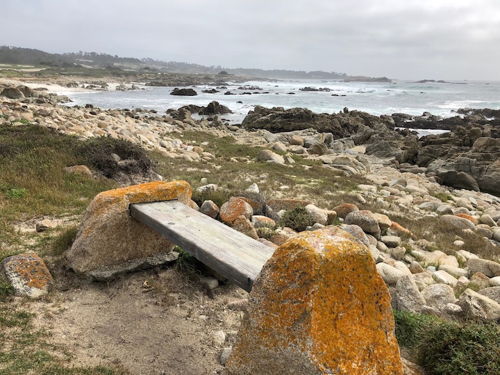 Beach Path Bench