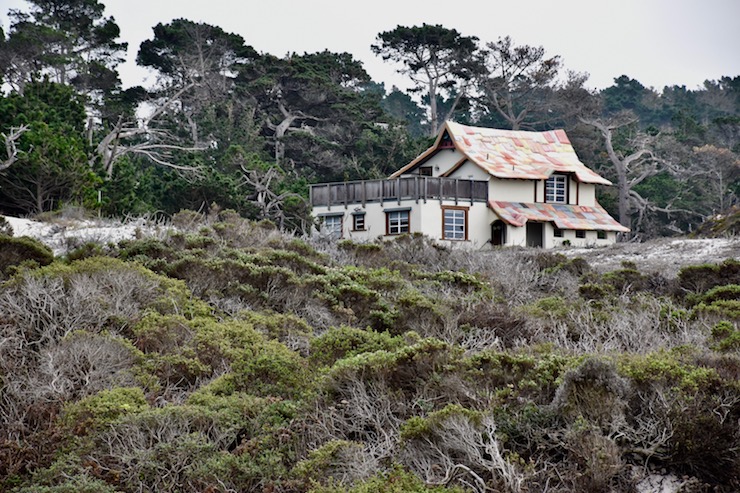 Photo Description - Low Resolution 720x540 pixels