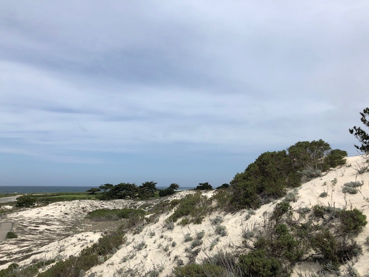 Dunes by Indian Village - 720x555 pixels