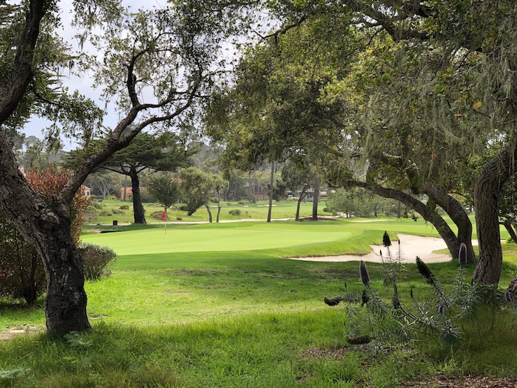 MPCC Shore Course from Stevenson 
