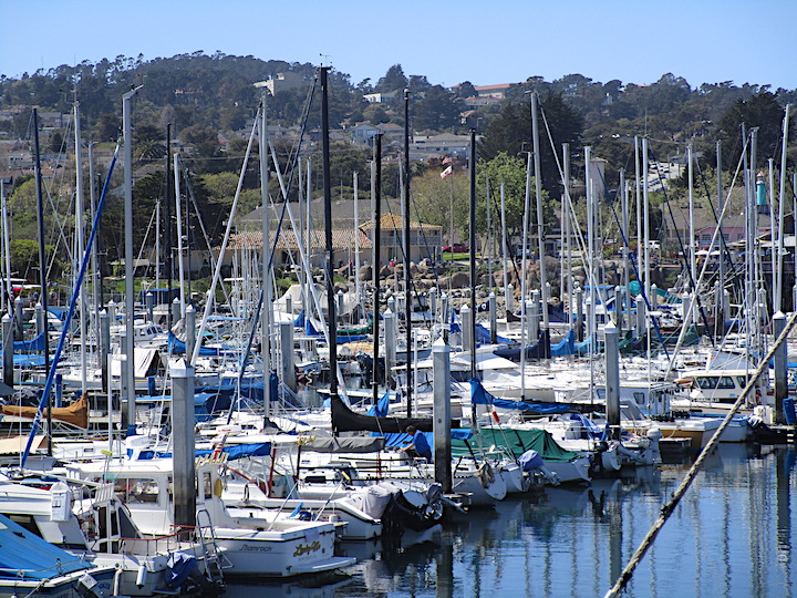 Across the Marina to the Customs House